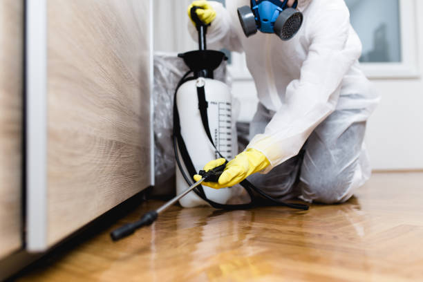 Best Cockroach Control Services  in Marion, NC