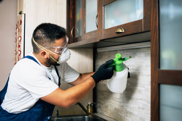 Best Mosquito Control Services  in Marion, NC