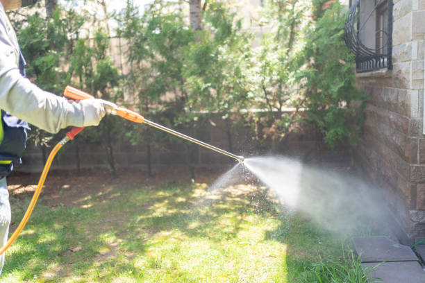 Best Ant Control Services  in Marion, NC