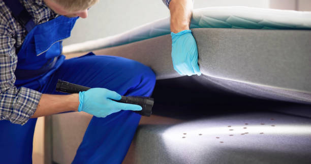 Best Best Pest Control Companies  in Marion, NC
