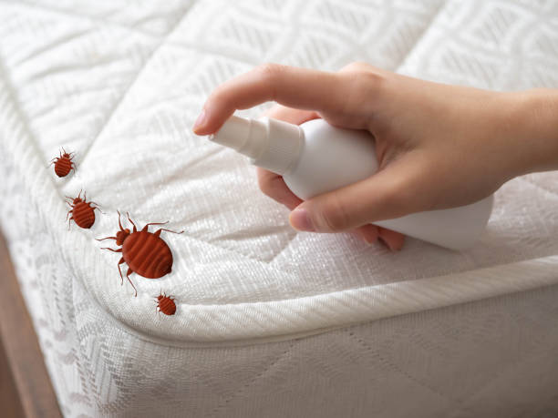 Best Pest Control for Restaurants  in Marion, NC
