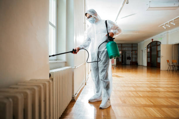 Best Termite Control Services  in Marion, NC