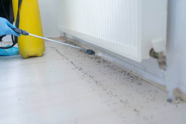 Best Pest Prevention Services  in Marion, NC