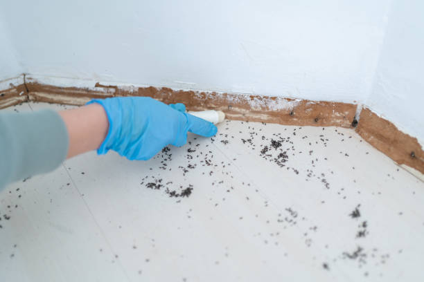Best Commercial Pest Control Services  in Marion, NC