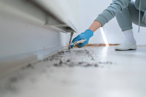 Best Residential Pest Control  in Marion, NC