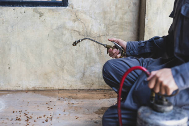 Best Exterminator Services  in Marion, NC